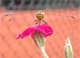 Libelle auf Blume