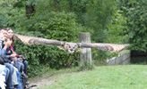 Tierpark Hellabrunn: Uhu
